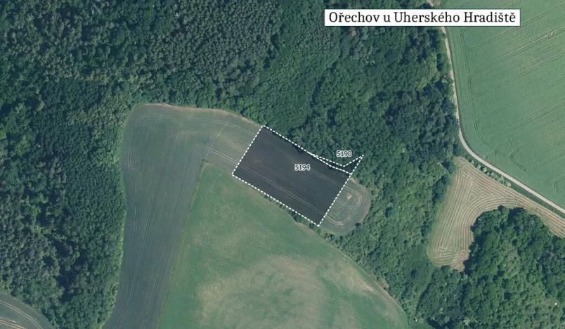 Prodej pole, Ořechov, 12328 m2