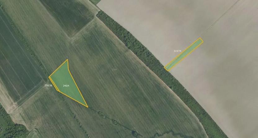 Prodej pole, Vrdy, 13846 m2