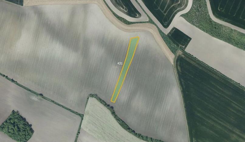 Prodej pole, Děčany, 78982 m2