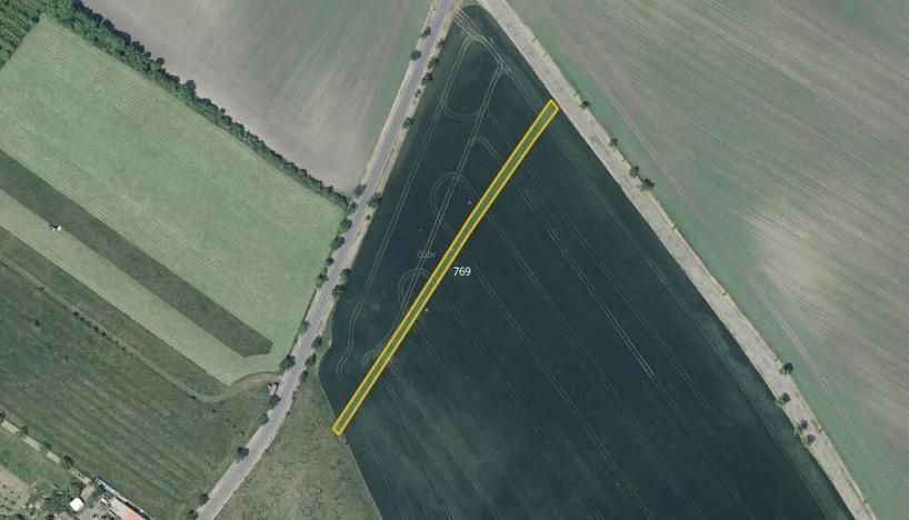 Prodej pole, Děčany, 78982 m2