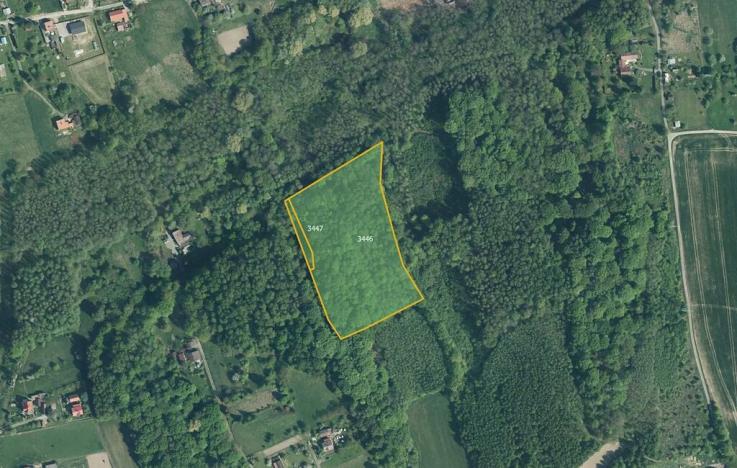 Prodej lesa, Doubrava, 10811 m2