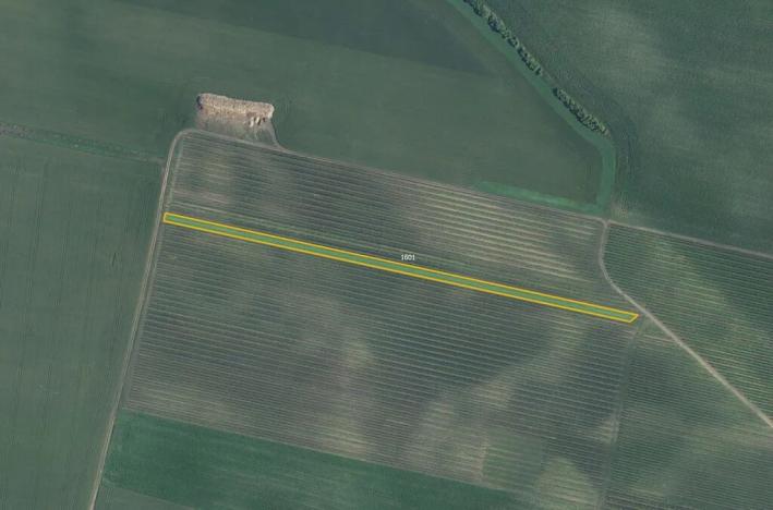 Prodej sadu/vinice, Terezín, 5465 m2