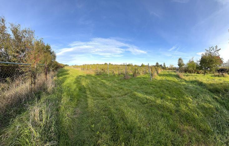 Prodej pozemku, Uherské Hradiště, Vinohradská, 2877 m2