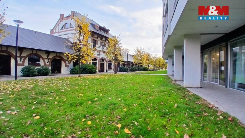 Pronájem kanceláře, Praha, Jankovcova, 58 m2