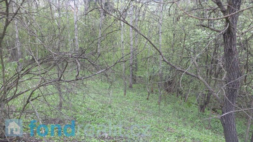 Prodej pozemku, Mosty u Jablunkova, 8296 m2