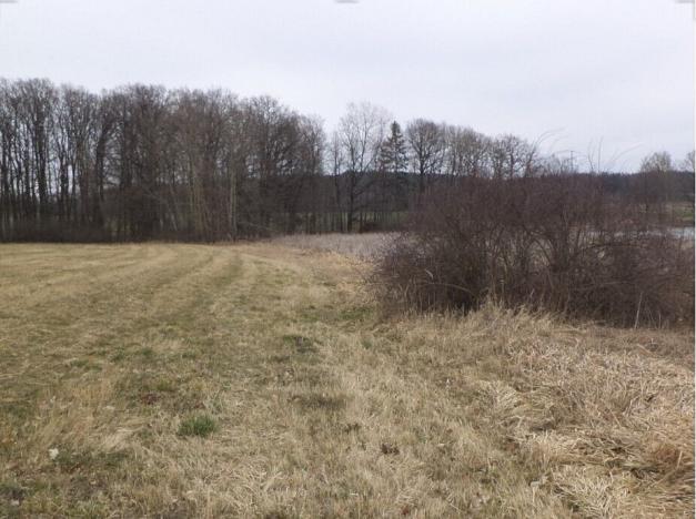 Prodej pole, Dříteň, 1815 m2