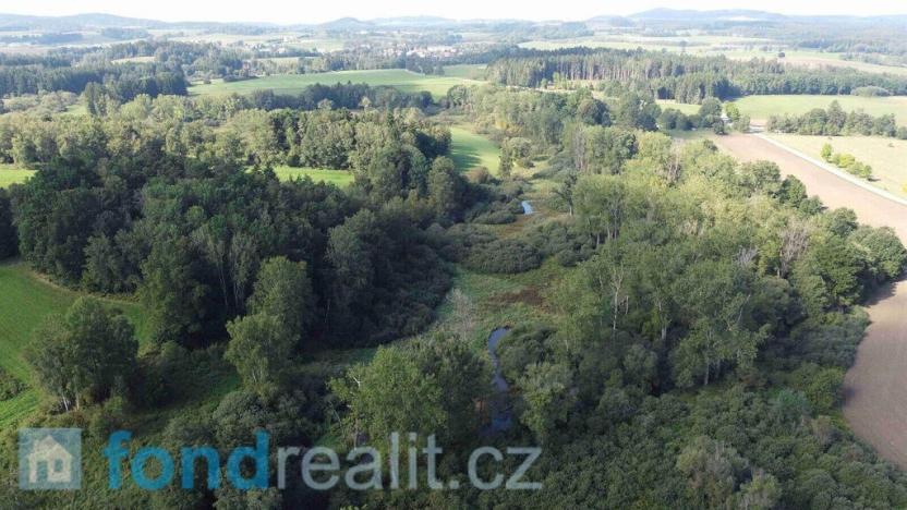 Prodej pozemku, Dolní Dvořiště - Rychnov nad Malší, 24285 m2