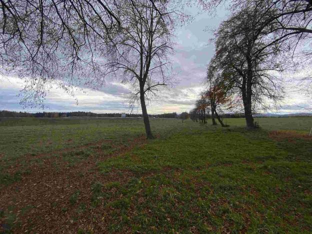 Prodej komerčního pozemku, Strážkovice, 4604 m2