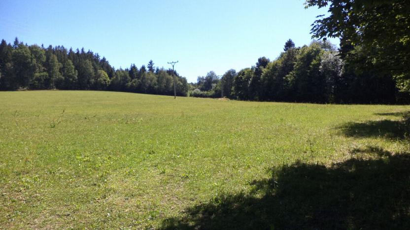 Prodej pole, Strašín, 33901 m2