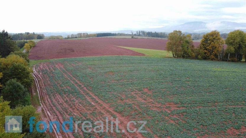 Prodej pole, Staré Buky, 71140 m2