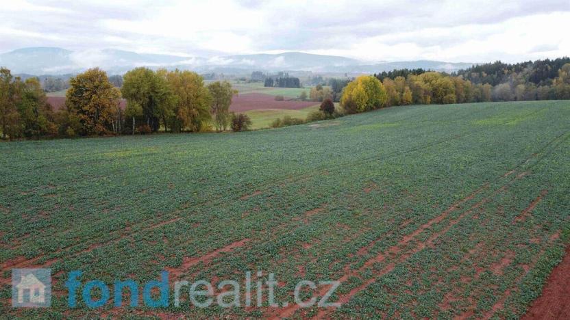 Prodej pole, Staré Buky, 71140 m2