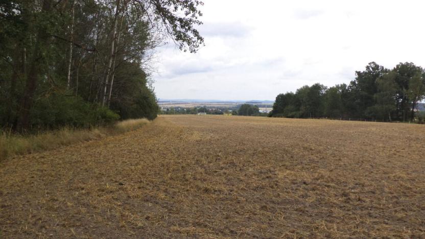 Prodej zahrady, Heřmanova Huť - Vlkýš, 1100 m2