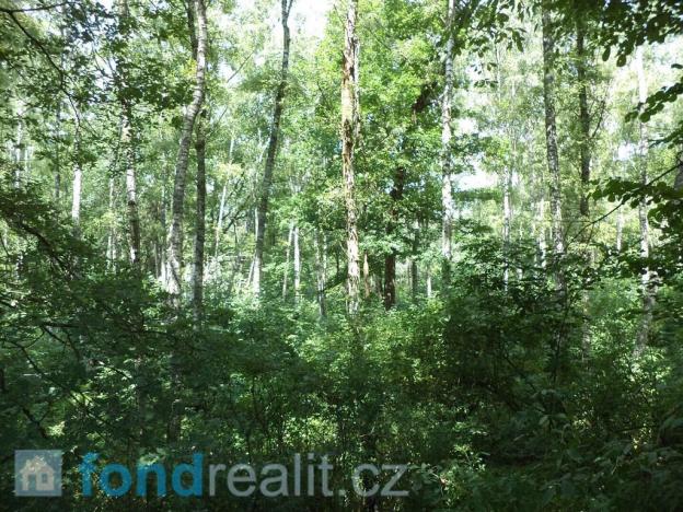 Prodej pozemku, Kaplice - Blansko, 19480 m2