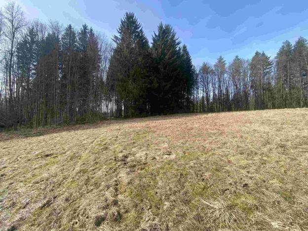 Prodej pole, Kraslice, 3869 m2