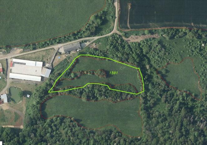 Prodej pozemku, Řehlovice, 10485 m2