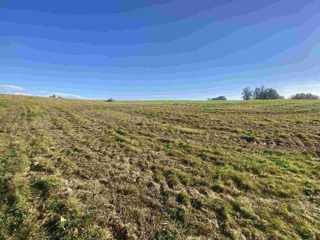 Prodej pole, Stráž nad Nisou - Svárov, 236 m2