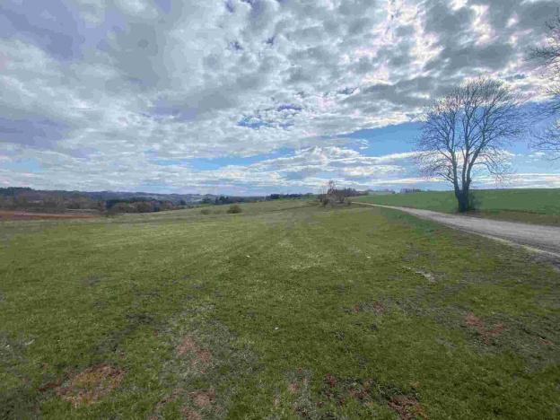 Prodej pole, Příkrý, 13129 m2