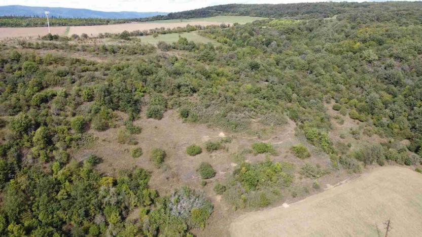 Prodej pole, Řehlovice - Stadice, 22441 m2