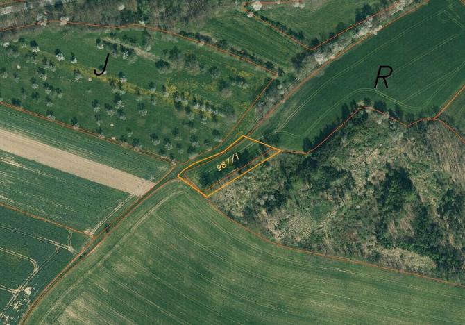 Prodej pozemku, Nová Ves u Mladé Vožice, 5421 m2