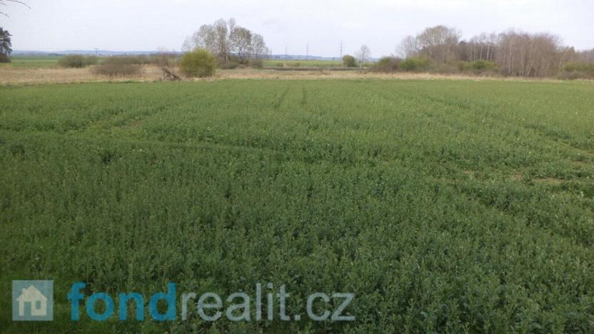 Prodej pole, Žíšov, 3467 m2