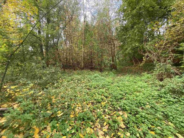 Prodej pozemku, Svijany, 4905 m2