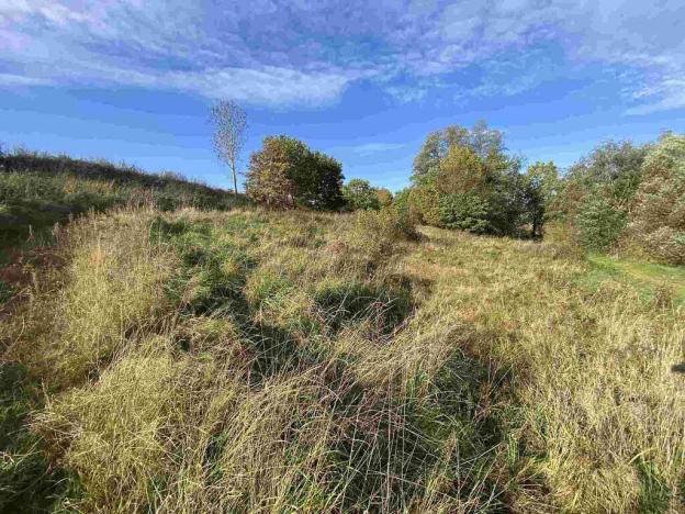 Prodej pozemku, Svijany, 4905 m2