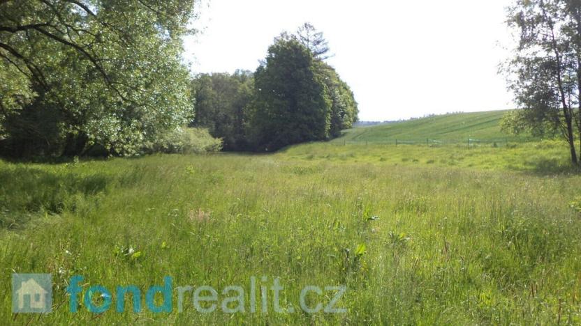 Prodej pozemku, Pluhův Žďár - Červená Lhota, 2746 m2