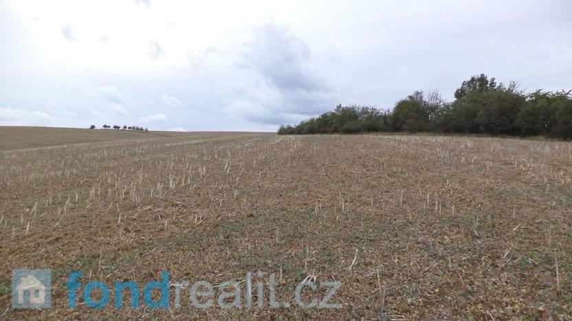 Prodej pozemku, Traplice, 19641 m2