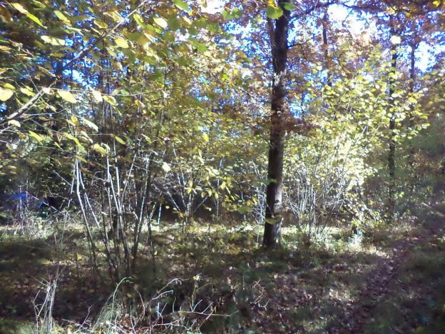 Prodej pozemku, Římov - Dolní Stropnice, 2102 m2