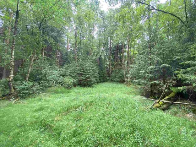 Prodej pole, Krásná, 11900 m2