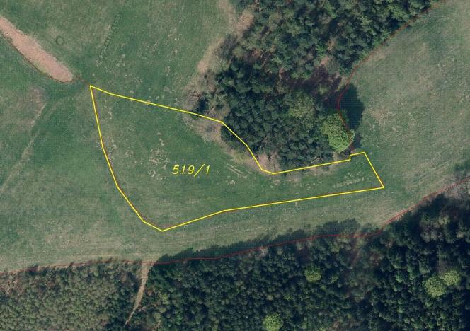 Prodej pole, Cvikov - Trávník, 16894 m2