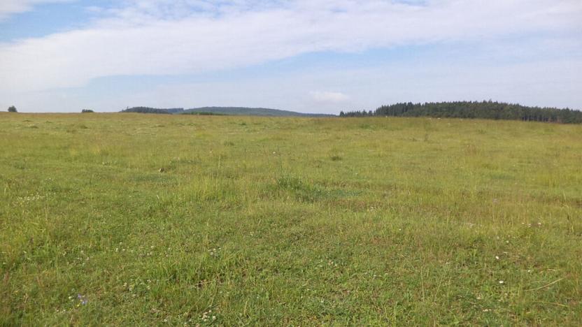 Prodej pozemku, Horní Štěpánov, 4031 m2