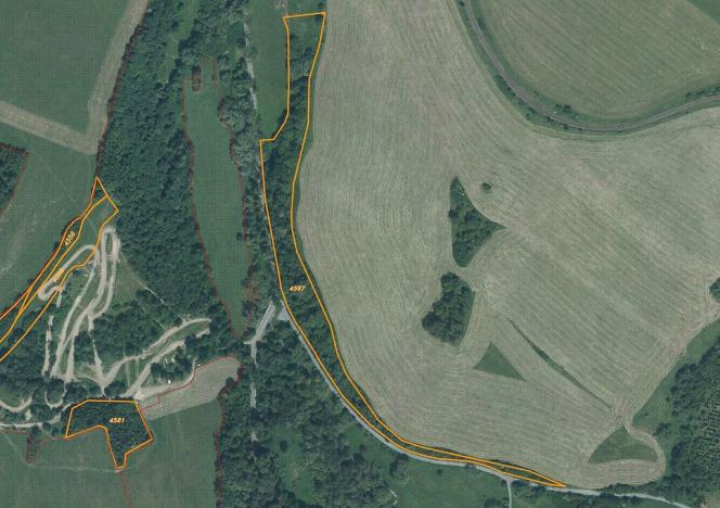 Prodej pozemku, Budišov nad Budišovkou, 41941 m2