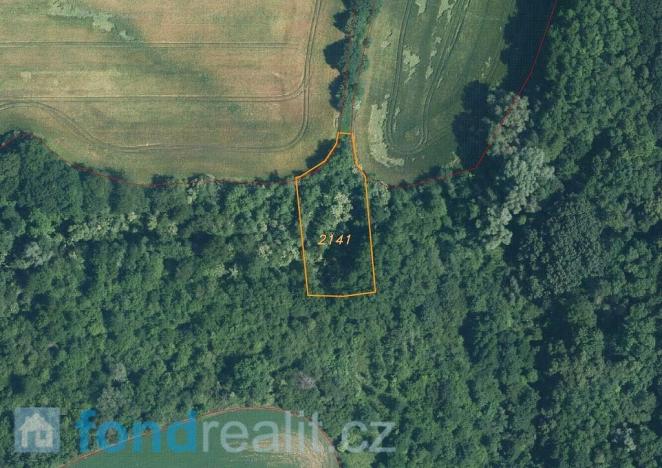 Prodej pozemku, Újezdec, 4351 m2