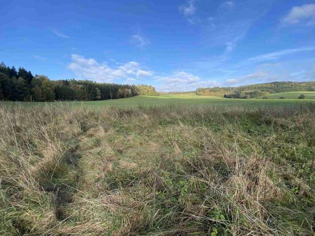 Prodej pozemku, Králíky - Horní Lipka, 3207 m2