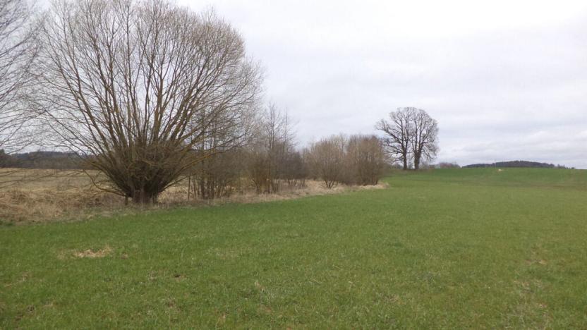 Prodej pole, Jindřichův Hradec - Dolní Radouň, 11340 m2