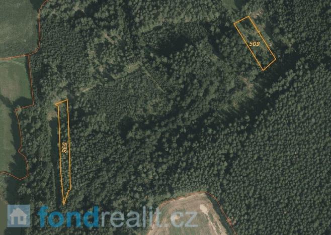 Prodej lesa, Myslkovice, 9683 m2