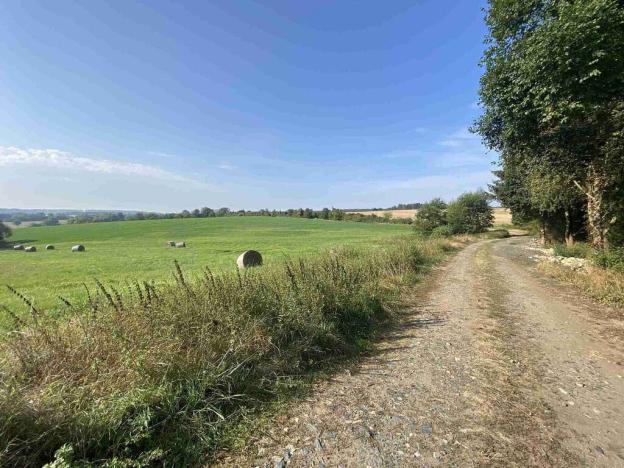 Prodej pozemku, Ošelín, 5704 m2