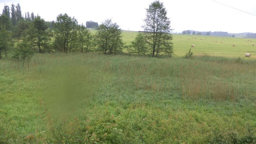 Prodej pole, Jablonné v Podještědí, 4685 m2