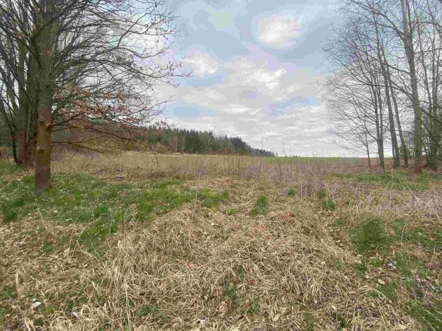 Prodej pole, Žinkovy, 15275 m2