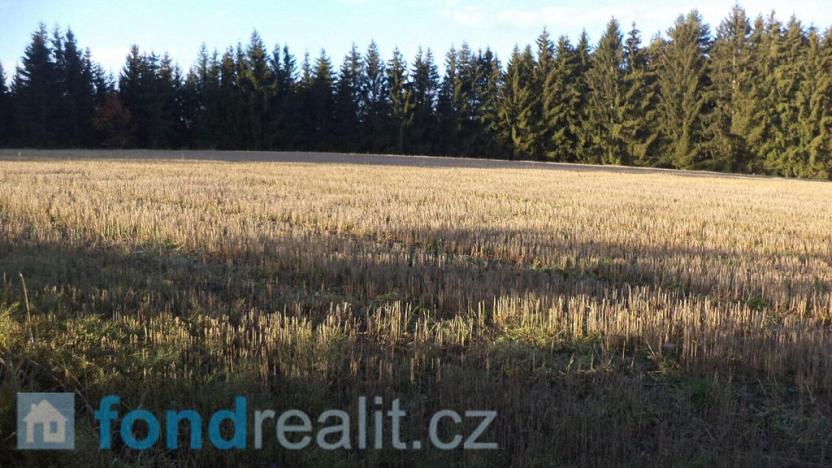 Prodej pole, Stará Paka, 44606 m2