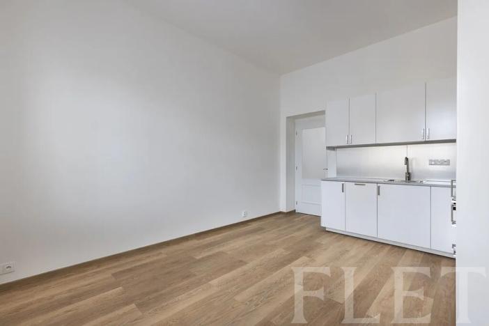 Pronájem bytu 1+kk, Praha - Žižkov, Milíčova, 29 m2