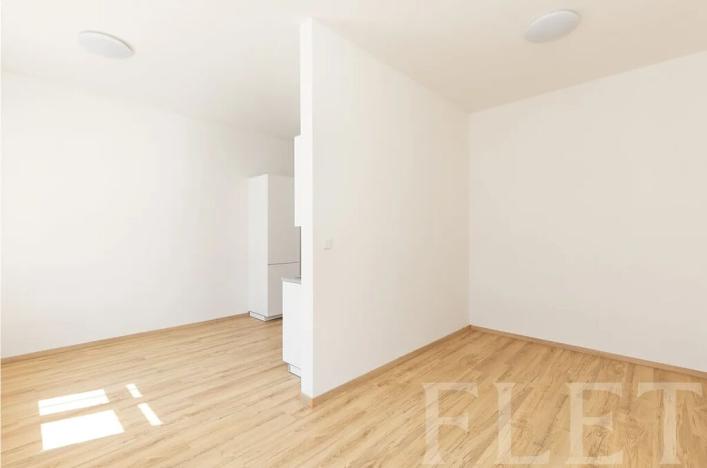 Pronájem bytu 1+kk, Praha - Libeň, Františka Kadlece, 34 m2