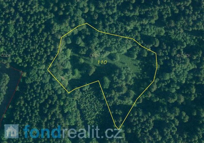 Prodej pole, Dešenice, 12590 m2