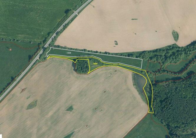 Prodej pole, Chodský Újezd - Nahý Újezdec, 25088 m2