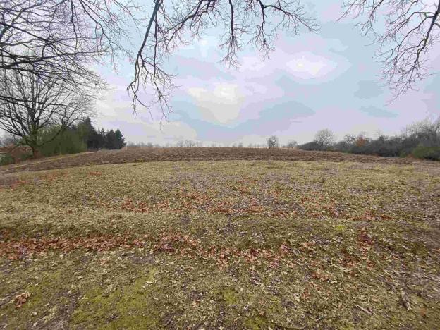 Prodej pozemku, Drahonice - Albrechtice, 2121 m2