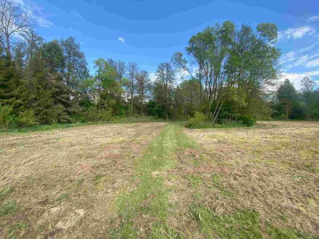 Prodej pozemku, Břidličná - Vajglov, 7130 m2