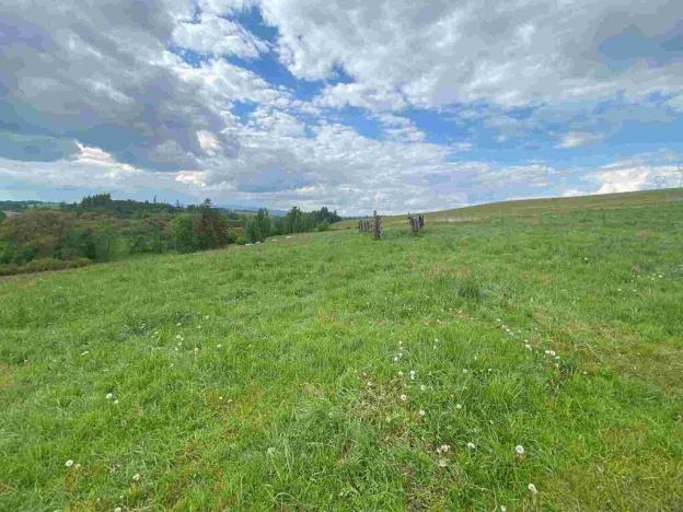 Prodej pozemku, Břidličná - Vajglov, 7130 m2