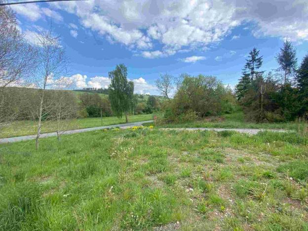 Prodej pozemku, Břidličná - Vajglov, 705 m2