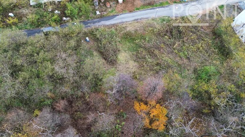 Prodej pozemku pro bydlení, Pustiměř, 2553 m2